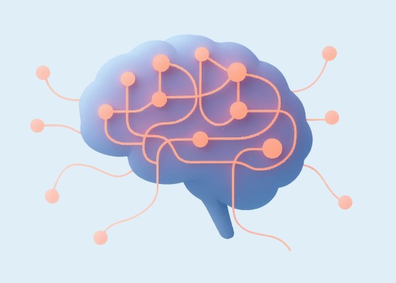 Neurotypical Brains versus Autistic Brains: Compared and Contrasted