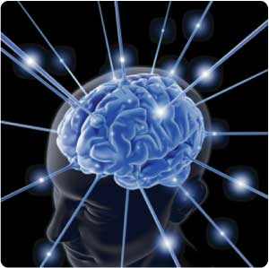 Ten Ways to Reduce the Risk of Alzheimer’s