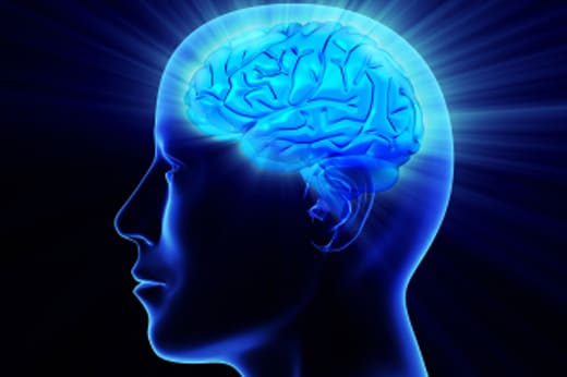 21 Things You Can Do to Work out Your Brain