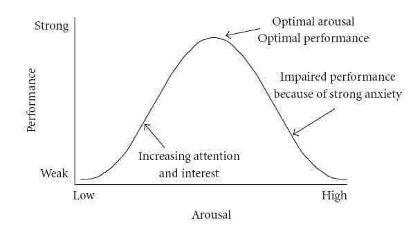 The Correlation Between Stress and Performance