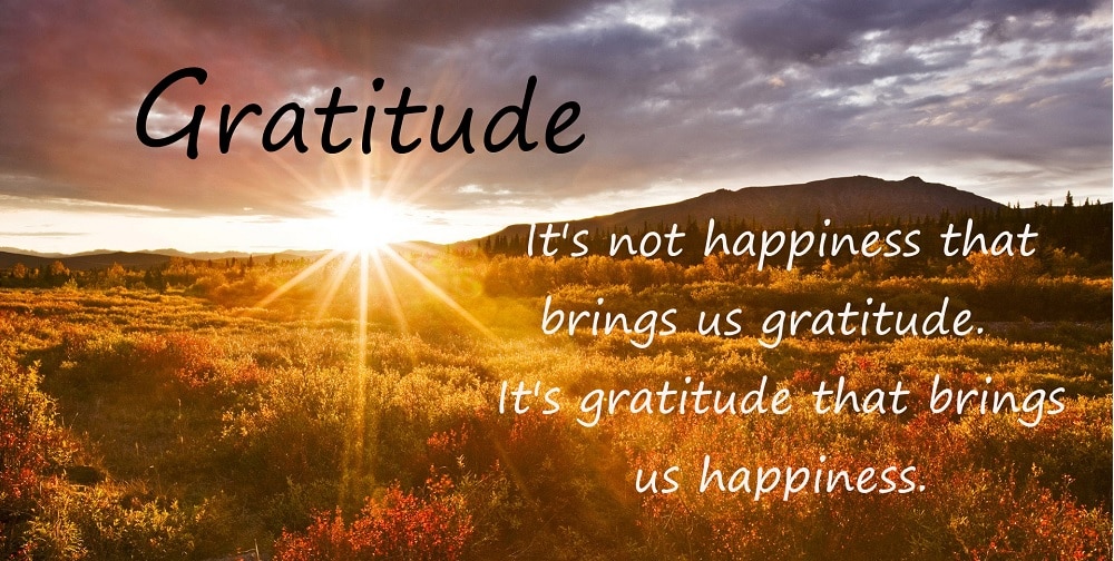 The Importance of Gratitude to Happiness