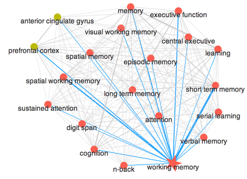 How to Improve Your Working Memory