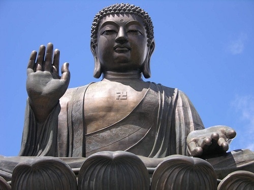 Love and Compassion - The True Drivers of the Human Experience