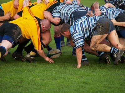 The Physiology and Biology of Mental Toughness