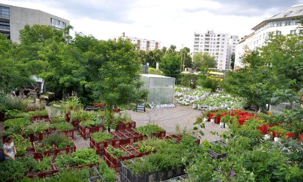 20 Amazing Urban Farming Ideas