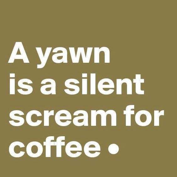 30 Funny Picture Quotes About Coffee