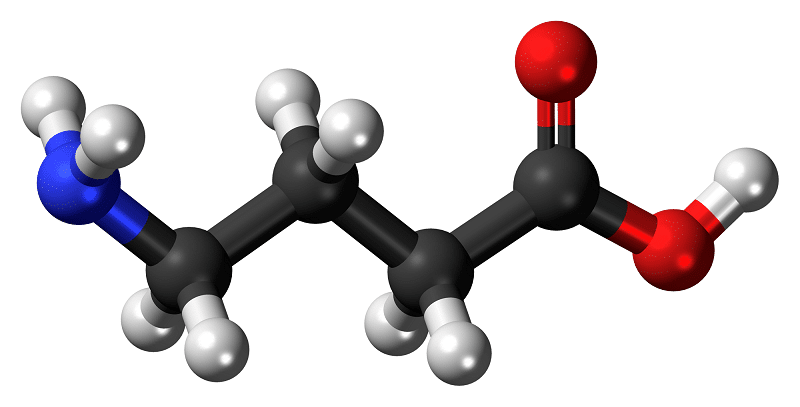 Function of the GABA Neurotransmitter and Everything Else About It