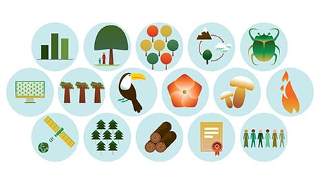 Production and the Economy: Productive Resources Defined