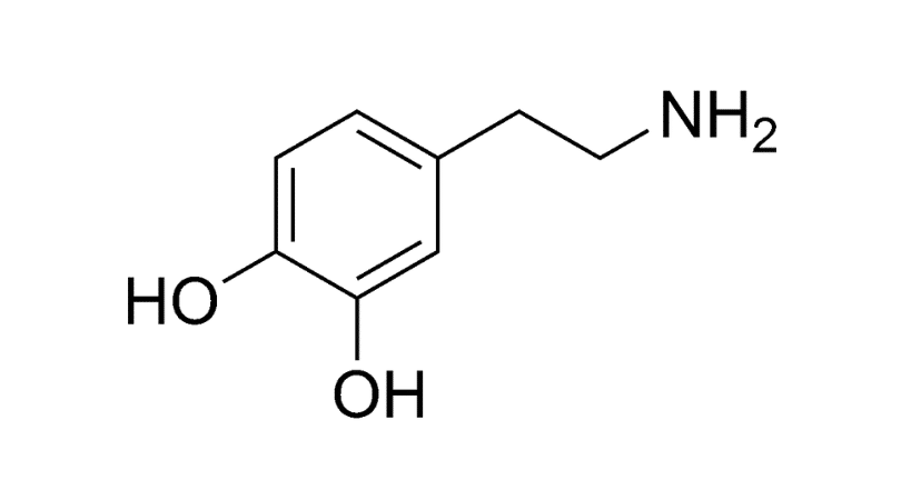 What is Dopamine and What Does Dopamine Do? Where Is Dopamine Produced?