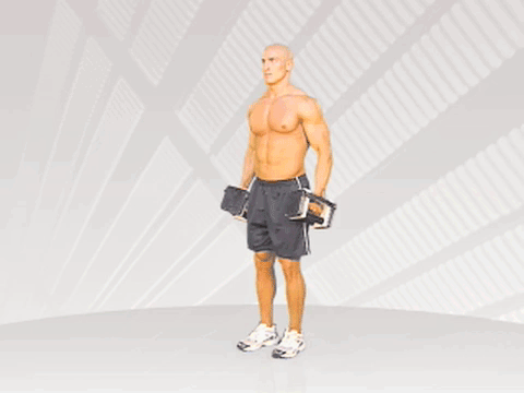 db_standing_lateral_raises