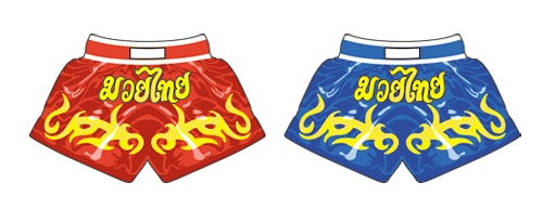 muay thai shorts