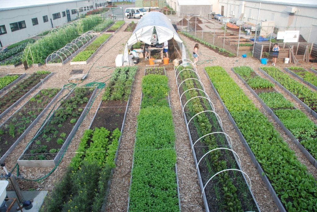 urban farming business model