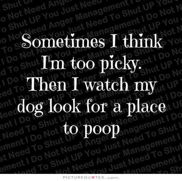 sometimes-i-think-im-too-picky-then-i-watch-my-dog-look-for-a-place-to-poop-quote-1