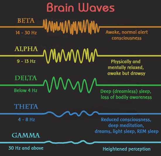 brain-wave-states