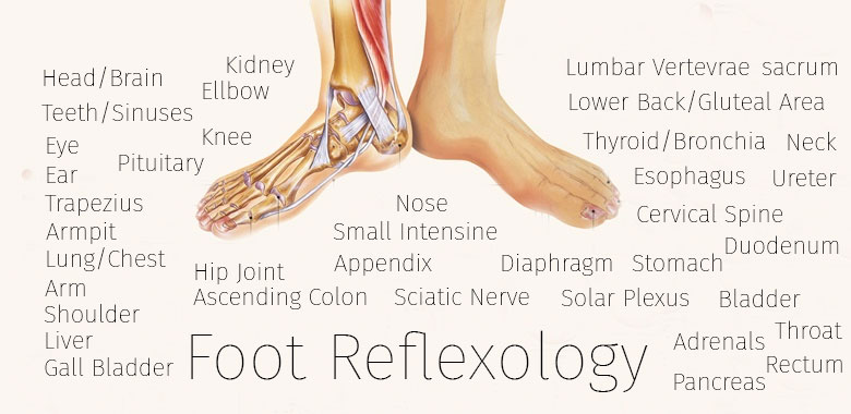 foot infographic